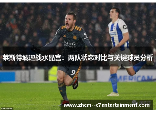 莱斯特城迎战水晶宫:两队状态对比与关键球员分析 莱斯特城迎战水晶宫:两队状态对比与关键球员分析