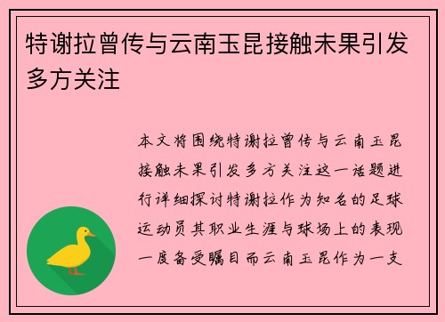 特谢拉曾传与云南玉昆接触未果引发多方关注
